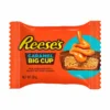 38G REESE'S PEANUT BUTTER & CARAMEL BIG CUP