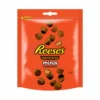120G REESE'S MINI BITES